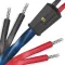 Wireworld Oasis 10 (Bi-Wire) (OAB) 2x2m - Raty 20x0% lub specjalna oferta! - Dostawa 0 zł! - 2