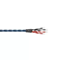 Wireworld Oasis 10 (Bi-Wire) (OAB) 2x2m - Raty 20x0% lub specjalna oferta! - Dostawa 0 zł!