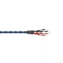 Wireworld Oasis 10 (Bi-Wire) (OAB) 2x2m - Raty 20x0% lub specjalna oferta! - Dostawa 0 zł!