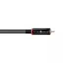 WireWorld Equinox 10 RCA (EQI) 1m - Raty 20x0% lub specjalna oferta! - Dostawa 0 zł!