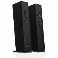 Pylon Audio Diamond 25 mkII (Okleina | Naturalna) - Raty 50x0% lub specjalna oferta! - Dostawa 0zł!
