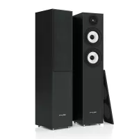 Pylon Audio Pearl 25 (Okleina | PCV | Czarny Jesion) - Raty 50x0% lub specjalna oferta! - Dostawa 0zł!