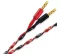 Wireworld Helicon 16x OFC (HES) 2x3m - Raty 20x0% lub specjalna oferta! - Dostawa 0 zł! - 5