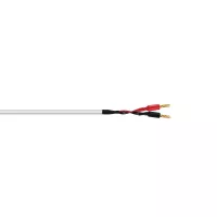 Wireworld Stream 10 (STS) 2x3m - Raty 20x0% lub specjalna oferta! - Dostawa 0 zł!