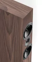 Pylon Audio Zirkon 20 - Raty 50x0% lub specjalna oferta! - Dostawa 0zł!