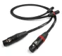 Chord Signature (XLR) - Raty 30x0% - Dostawa 0 zł!