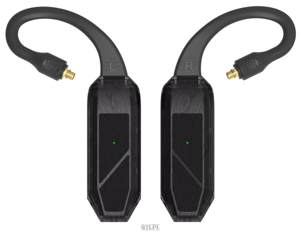 iFi Audio GO pod Air