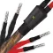 Wireworld Eclipse 10 (Bi-Wire) (ECB) 2x3m - Raty 20x0% lub specjalna oferta! - Dostawa 0 zł! - 2