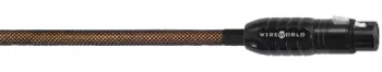 WireWorld Eclipse 8 XLR (EBI) - Raty 20x0% - Dostawa 0 zł!
