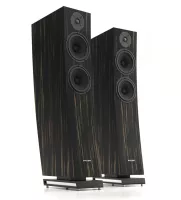Pylon Audio Jasper 25 mkII Active (Okleina | Heban Morocco) - Raty 50x0% lub specjalna oferta! - Dostawa 0zł!