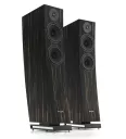 Pylon Audio Jasper 25 mkII Active (Okleina | Heban Morocco) - Raty 50x0% lub specjalna oferta! - Dostawa 0zł!