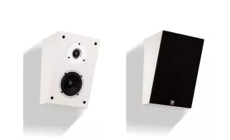 Wilson Raptor X (Biały) - OUTLET - Dostawa 0zł!