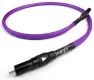Chord Indigo Digital (RCA) - Raty 30x0% - Dostawa 0 zł!