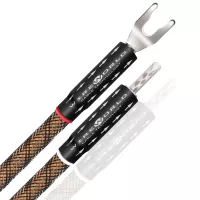WireWorld Eclipse 10 Biwire Jumpers (JUMPECS10) - Raty 20x0% lub specjalna oferta - Dostawa 0 zł!