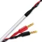 Wireworld Stream 10 (STS) 2x2.5m - Raty 20x0% lub specjalna oferta! - Dostawa 0 zł! - 2