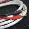 Wireworld Luna 10 (Bi-Wire) (LUB) 2x2.5m - Raty 20x0% lub specjalna oferta! - Dostawa 0 zł! - 5