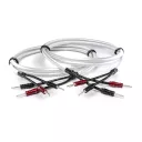 Chord Clearway X (ClearwayX) - 2 x 2.5m - Raty 10x0% lub specjalna oferta! - Dostawa 0zł!