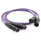 Melodika MD2X Purple Rain (XLR) - dostawa gratis