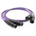 Melodika MD2X Purple Rain (XLR) - dostawa gratis