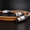 Melodika BS2X Brown Sugar (XLR) - Dostawa 0zł! - 5