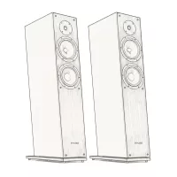 Pylon Audio Diamond 28 mkII (Lakier | Mat) - Raty 50x0% lub specjalna oferta! - Dostawa 0zł!