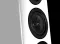 Wharfedale Aura 2 (Orzech połysk) - Raty 20x0% lub specjalna oferta! - Dostawa 0zł! - 10