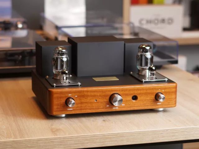 Odsłuchy Audio Reveal junior w Q21!